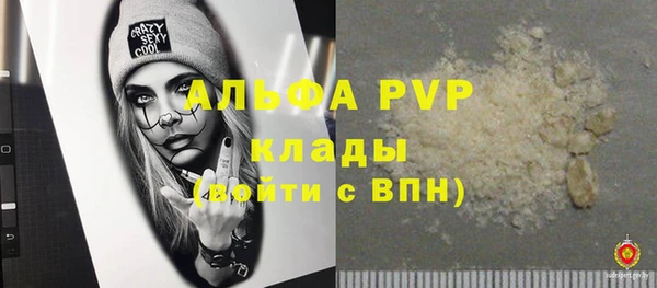 крисы Каменка