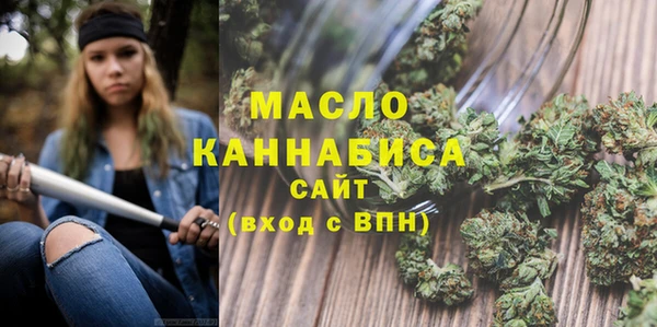 крисы Инта
