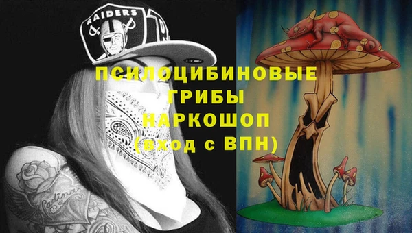 герыч Касимов