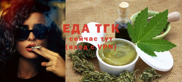 крисы Каменка