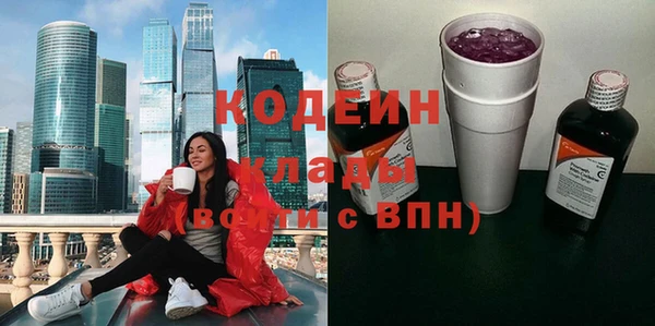 крисы Каменка