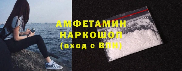 крисы Каменка
