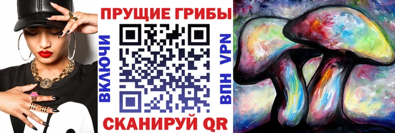 Галлюциногенные грибы Magic Shrooms omg зеркало Омутнинск наркошоп