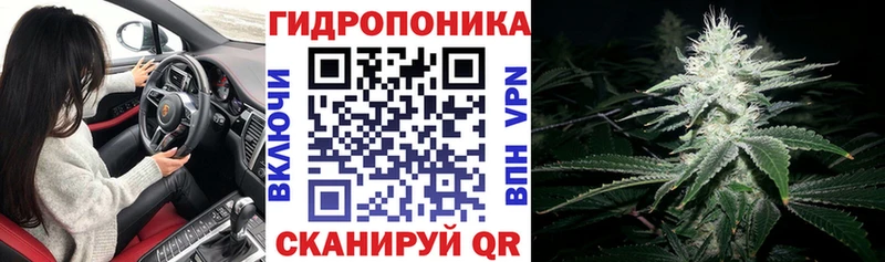 МАРИХУАНА конопля Омутнинск